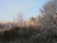 Killikus&reg; Fotographie